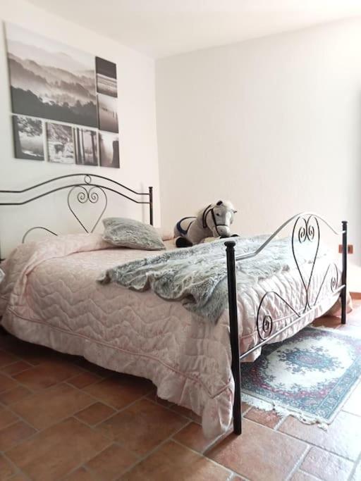 Montenero Val Cocchiara Il Borgo Della Zittola 빌라 외부 사진