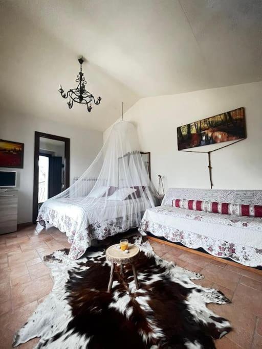 Montenero Val Cocchiara Il Borgo Della Zittola 빌라 외부 사진