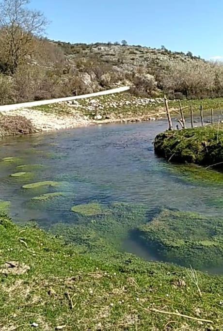 Montenero Val Cocchiara Il Borgo Della Zittola 빌라 외부 사진