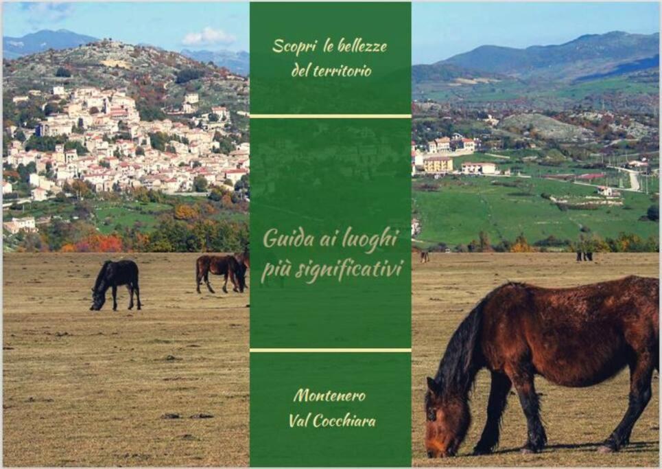 Montenero Val Cocchiara Il Borgo Della Zittola 빌라 외부 사진